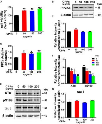 Codonopsis pilosula Polysaccharide Attenuates Tau Hyperphosphorylation and Cognitive Impairments in hTau Infected Mice